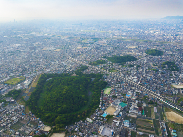 古市について