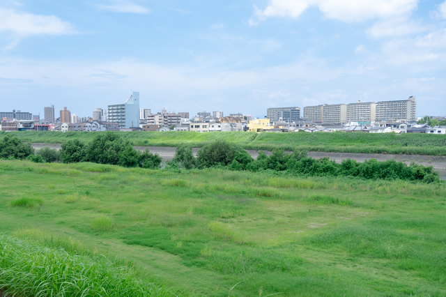 松原市について